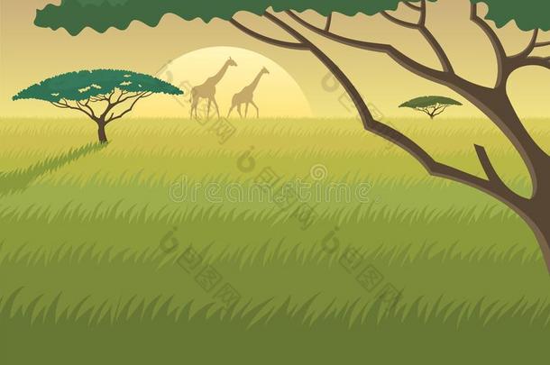 非洲景观