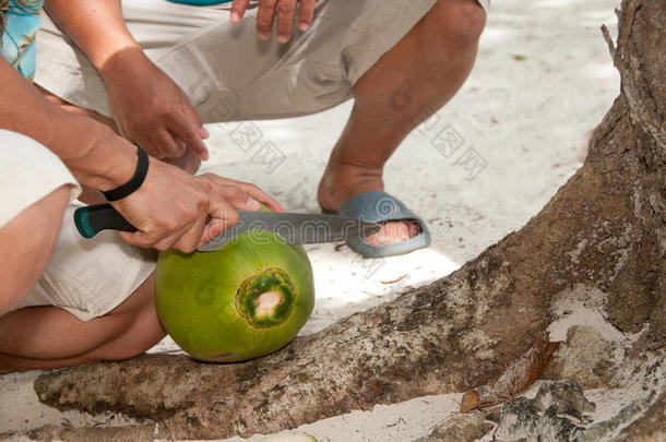 本地人切鲜摘椰子