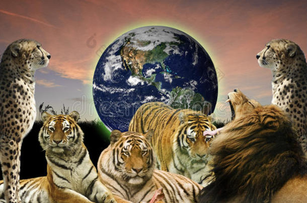 野生动物<strong>保护星球</strong>的创新理念