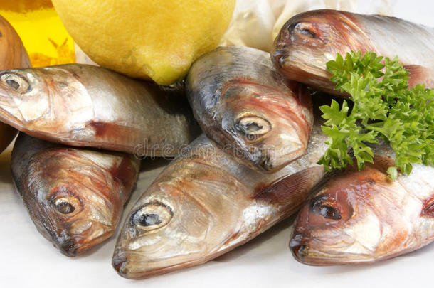 新鲜沙丁鱼在烹饪前作为食物
