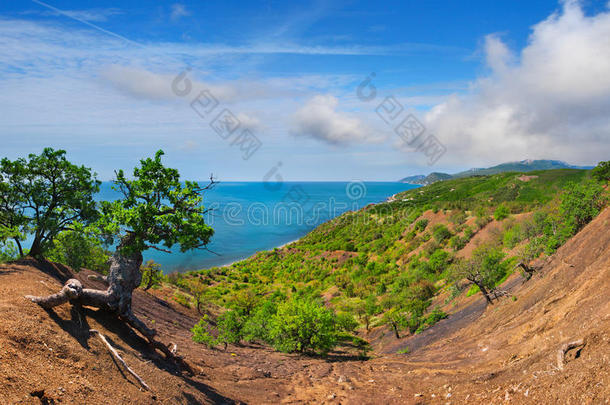 五彩缤纷的夏季景观