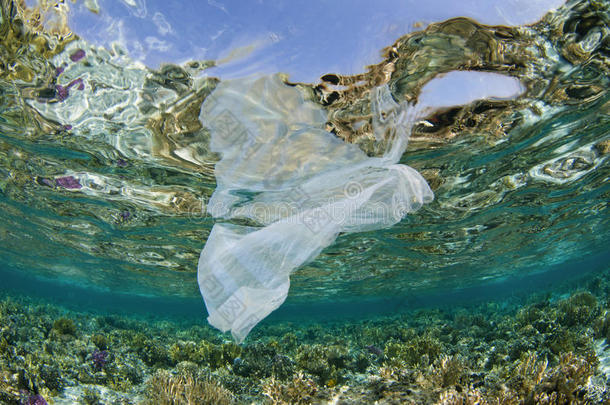 珊瑚礁上的塑料袋