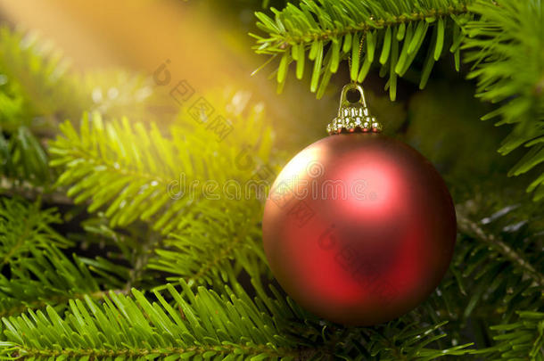圣诞树上的红球