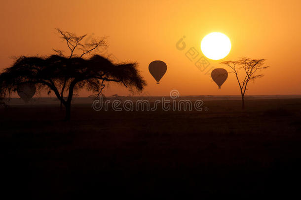 在坦桑尼亚塞伦盖蒂上空飞行的热气球