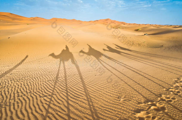 摩洛哥，墨佐加：骆驼车队的影子