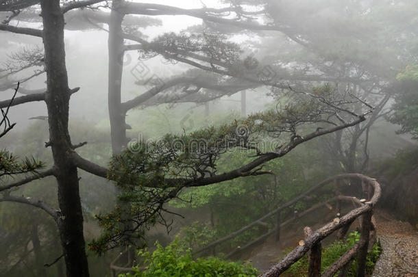 黄山意象（黄山）