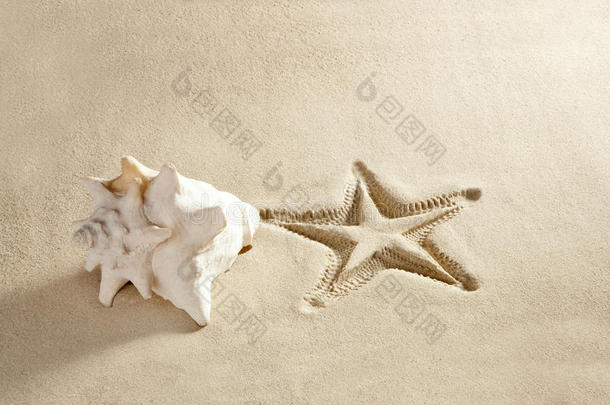 海滩海星图案贝壳白色加勒比海沙滩