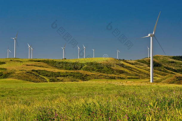 收集风能的绿色风力发电厂