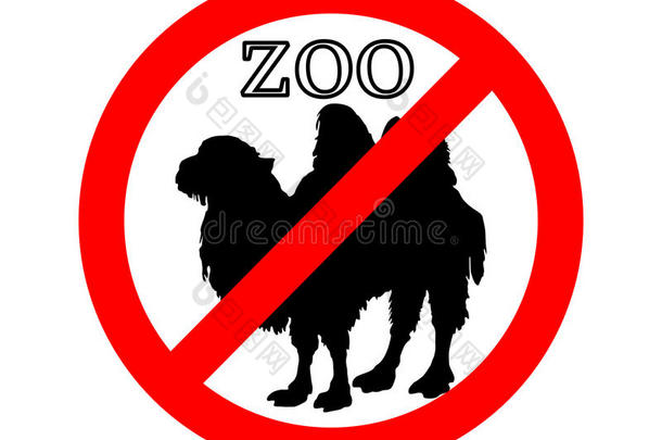 禁止在动物园饲养蝙蝠骆驼
