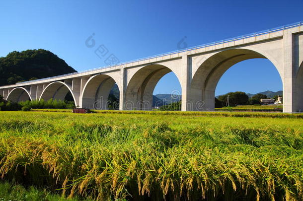 稻田公路桥