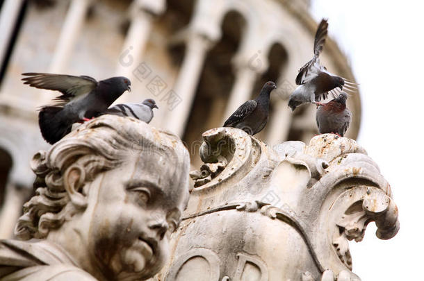 雕像上的一群鸽子
