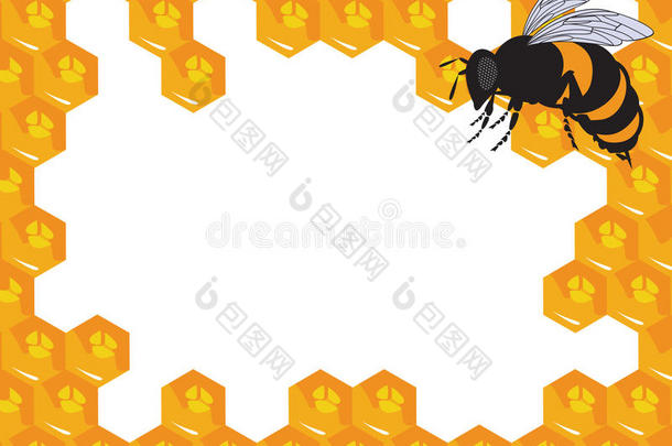 蜜蜂和蜂蜜蜂巢