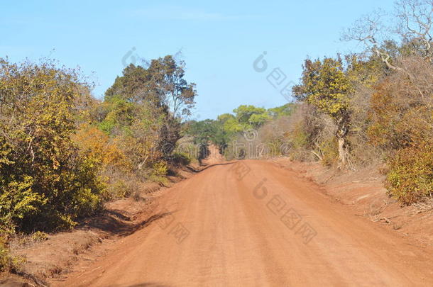 道路-雅拉野生动物保护区