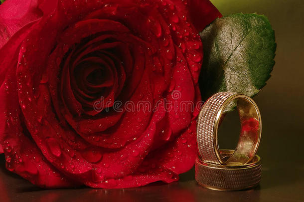 爱与幸福。幸福的婚姻。戒指和带水滴的红玫瑰