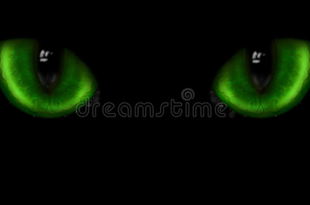 两只绿猫眼