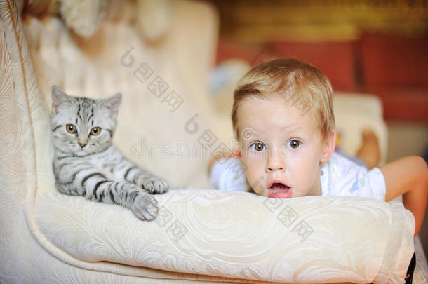 男孩眼睛灰色兴趣小猫