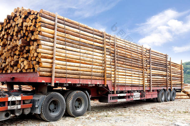 装载木梁的卡车