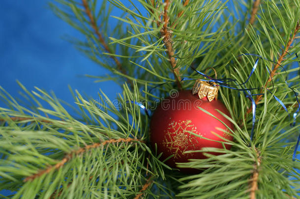 圣诞树上的<strong>红球</strong>