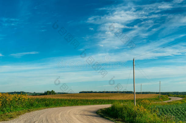 <strong>乡村</strong>公路蜿蜒穿过<strong>玉米地</strong>