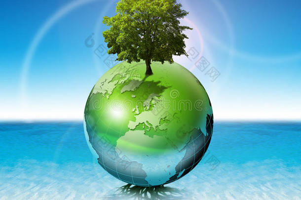 世界树木生态学概念