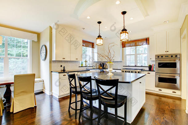 白色大型豪华现代厨房，深色地板