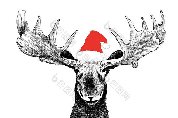 圣诞驼鹿戴圣诞老人帽