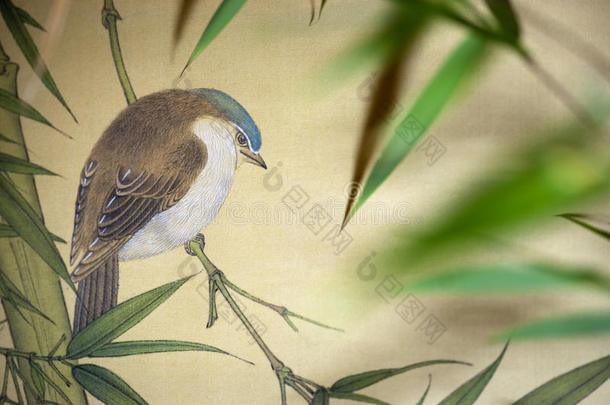 中国画卷上的鸟