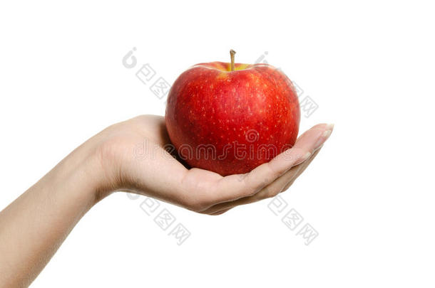 手牵手展示完美的红苹果