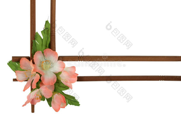 花木装饰框