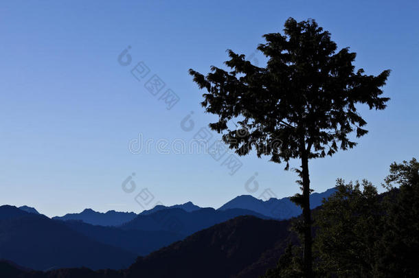 台湾-阿里山