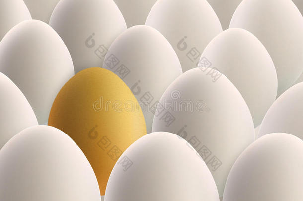 白蛋之间的独特金蛋