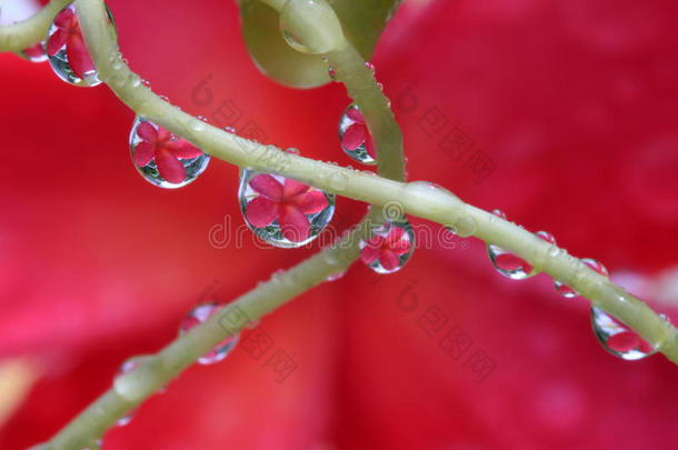 雨水的纯净