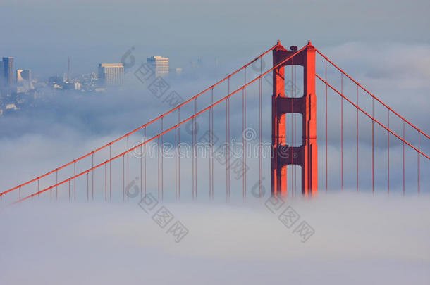 雾中的旧金山金门大桥