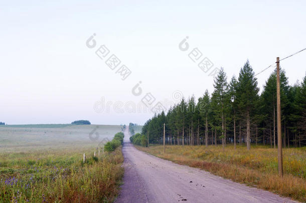 草原上的道路