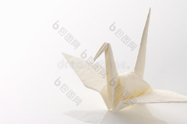 白折纸鹤