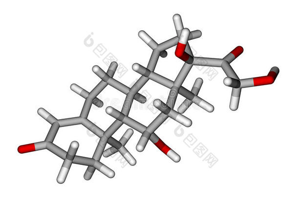 皮质醇棒分子模型