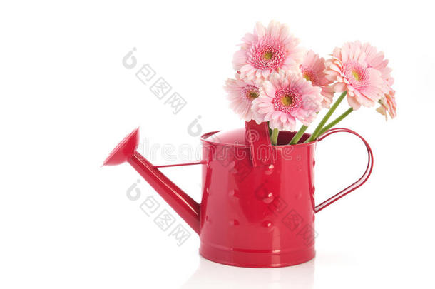 带花的粉红色水壶
