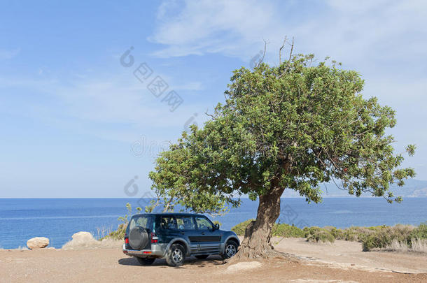 海边树<strong>下</strong>越野车