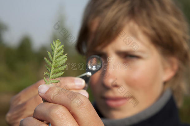 <strong>生态学</strong>家测定了一种植物