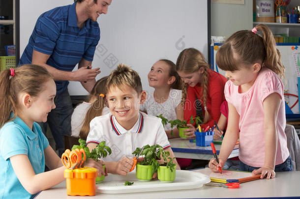 植物学班的幼儿