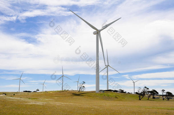 澳大利亚<strong>风电</strong>发电机园