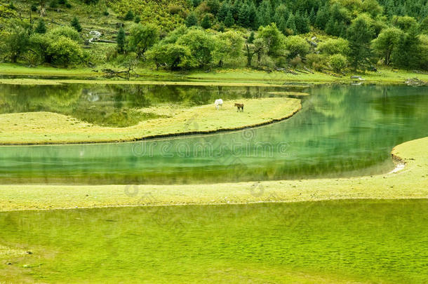 中国四川，秋天，山雾