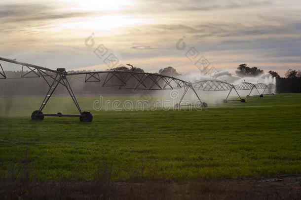 农场灌溉系统-佛罗里达