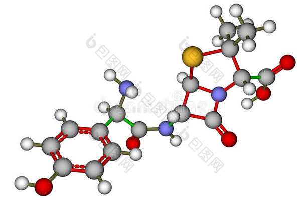 阿莫西林分子模型
