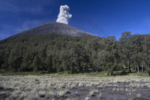 印尼爪哇岛上的一座冒烟火山塞梅鲁山