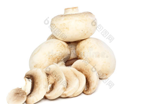 香菇香菇