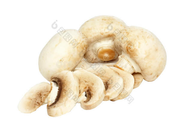 香菇香菇。