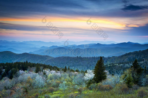 蓝岭林荫道春烟山