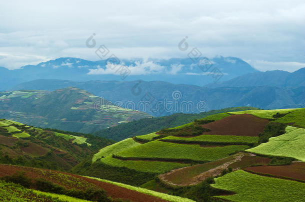 风景如画的土地