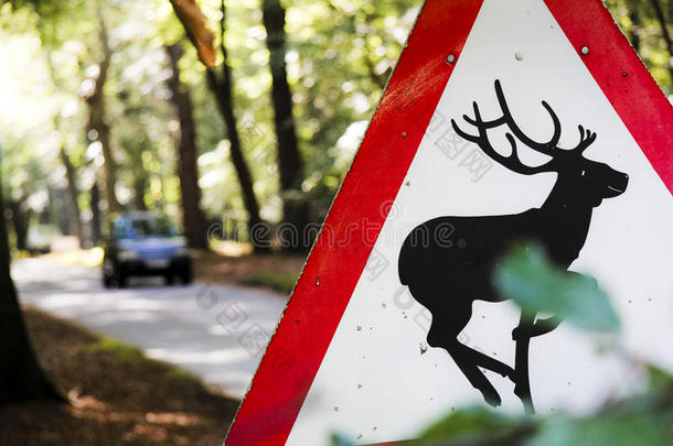 英国乡村鹿警示路标